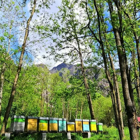 Gospodarstwo agroturystyczne Val Codera Verceia