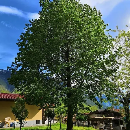 Val Codera * 베르체이아